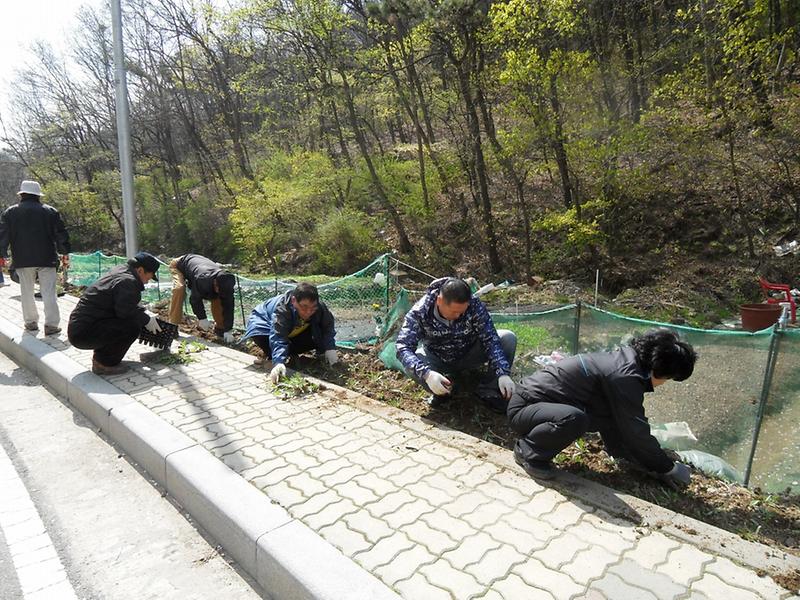 [우리 동네 가꾸기 사업]-문화의 거리1 사진