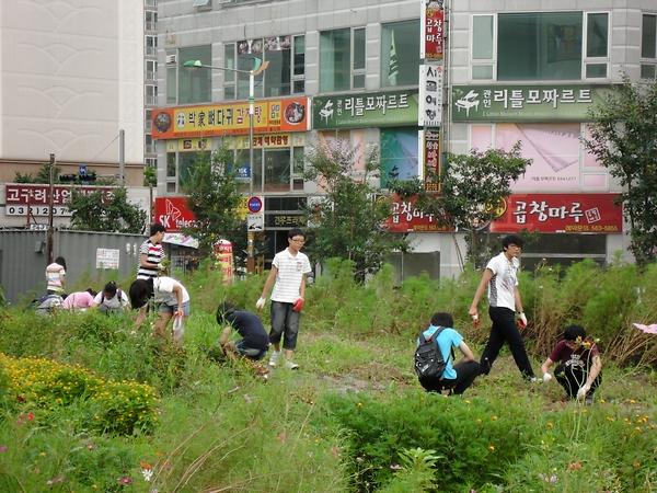 자원봉사센터의 슈퍼 그린 주니어 사업과 연계한 우리 동네 가꾸기 사업 사진