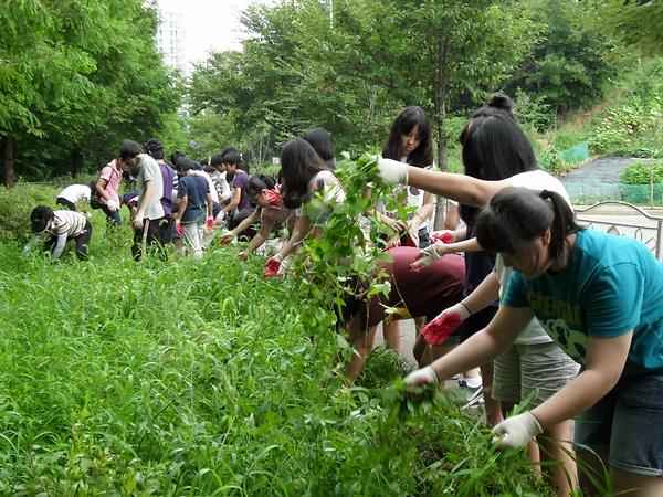 자원봉사센터 슈퍼 그린 주니어 사업과 연계한 우리 동네 가꾸기 사업 실시 사진