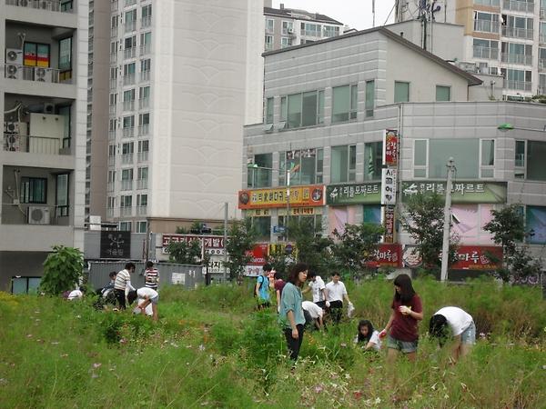 자원봉사센터의 슈퍼 그린 주니어 사업과 연계한 우리 동네 가꾸기 사업 사진