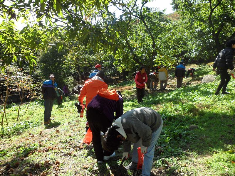 은혜의집 체험행사 사진