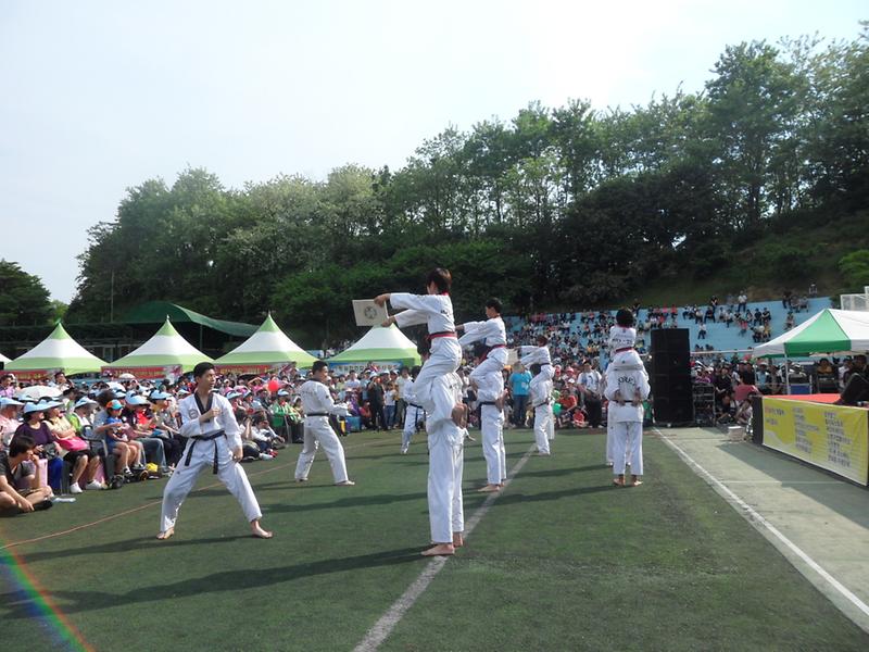 제5회 장미축제 사진