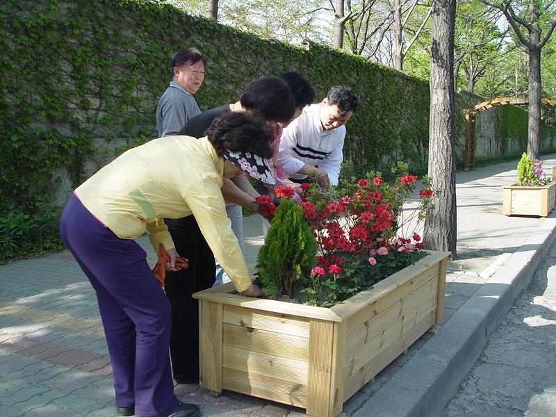 서달로변 아름다운 꽃길 조성 사진