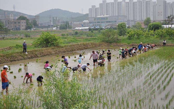 2012년도 제2기 꿈나무체험단 체험활동 사진