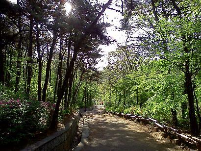 석남약수터에서 산책하세요 사진