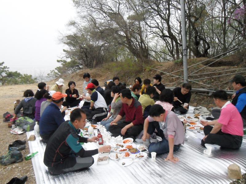 2012년도 춘계 통장 야유회 개최 사진
