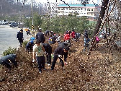 석남3동 나무심기 식목일 행사개최 사진