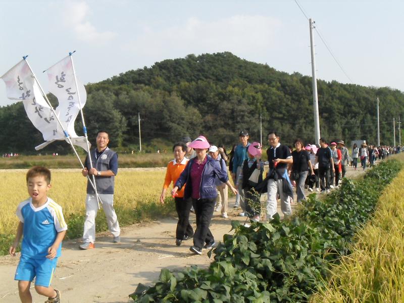 2012년 제7회 황금들판축제 사진