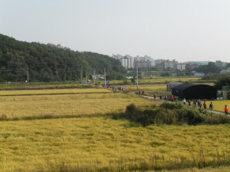 2012년 제7회 황금들판축제 사진