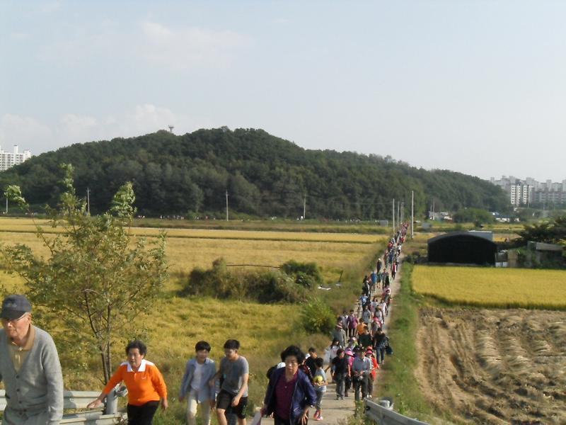 2012년 제7회 황금들판축제 사진