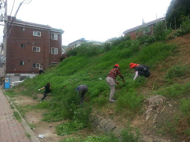 환경정비2.jpg 이미지