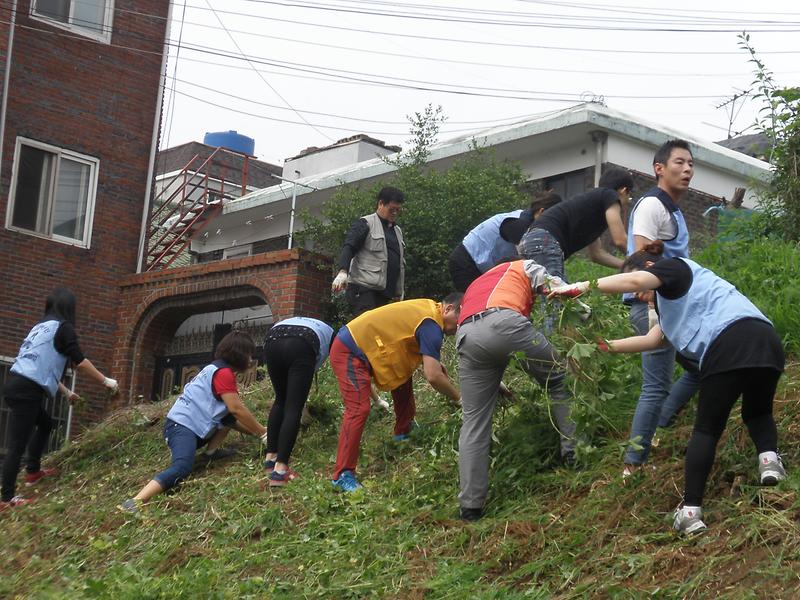 P6200424.JPG 이미지
