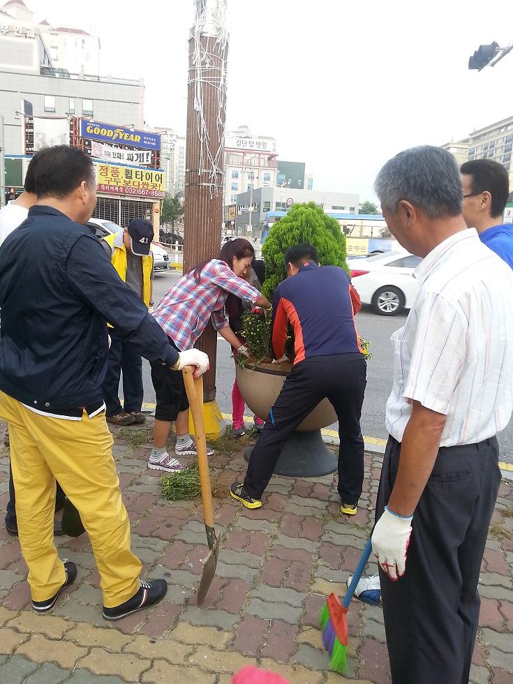 도로화분 꽃심기 및 환경정비 실시 사진