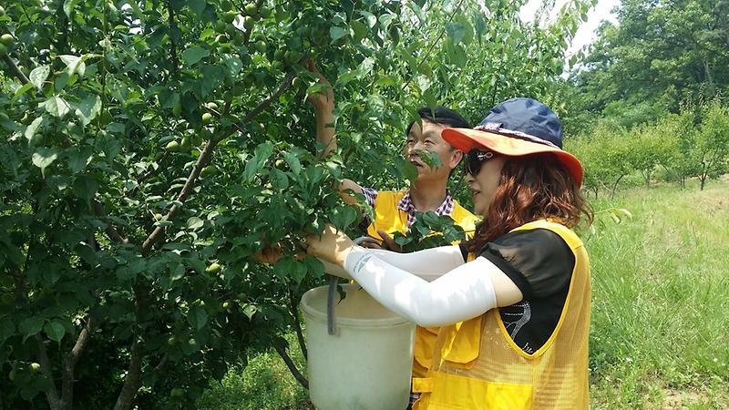 축소20150616_135035.jpg 이미지