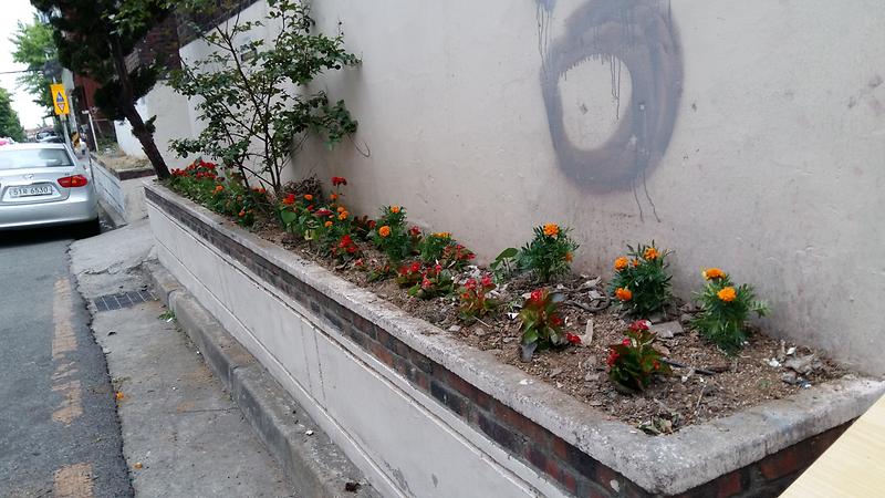 20150511_174619.jpg 이미지