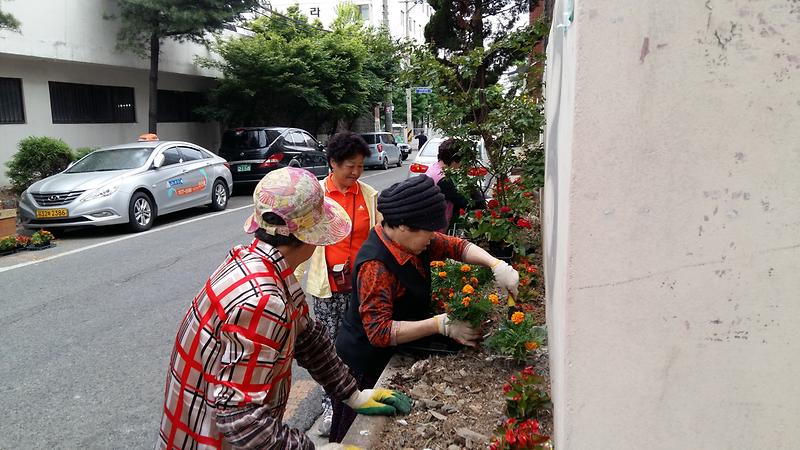깨끗하고 안전한 마을, 화단 초화 식재 사진