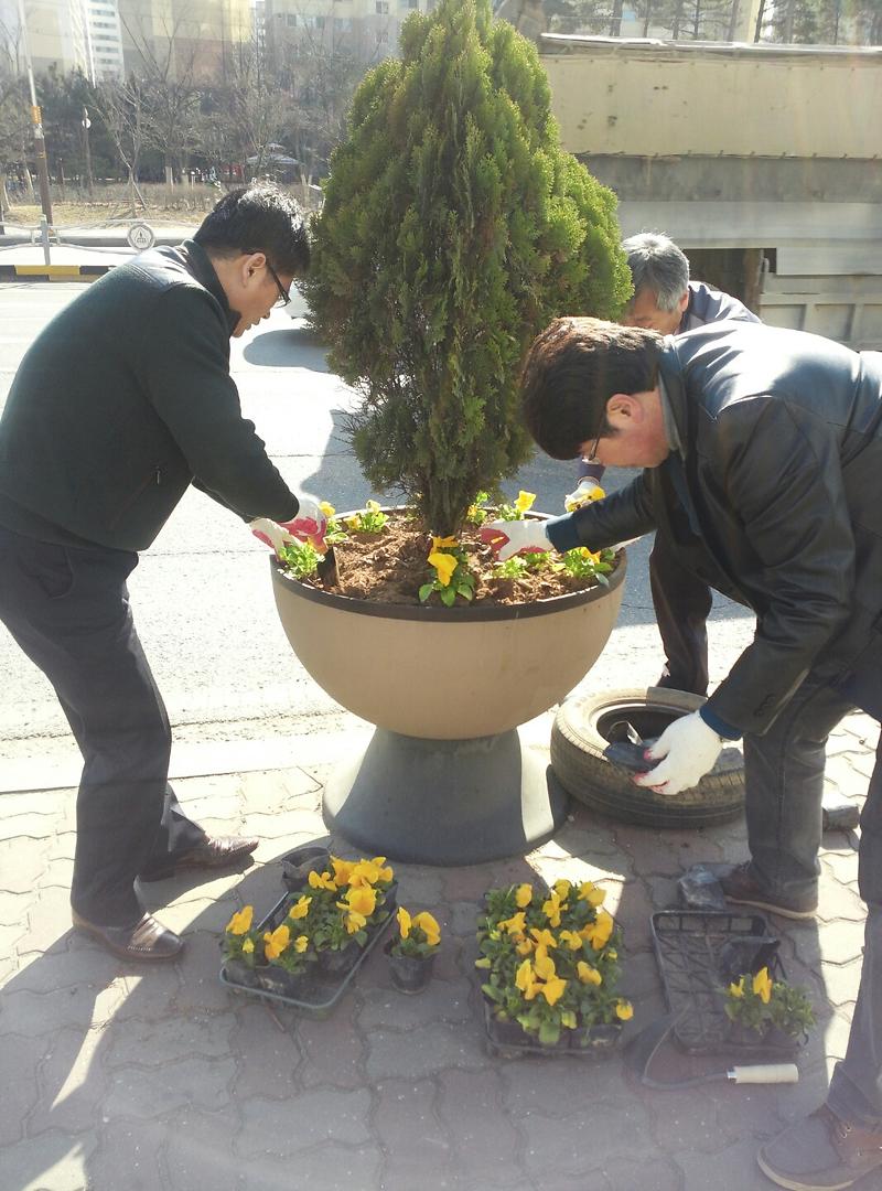 식재중400.jpg 이미지