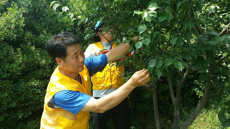 축소20150616_135125.jpg 이미지