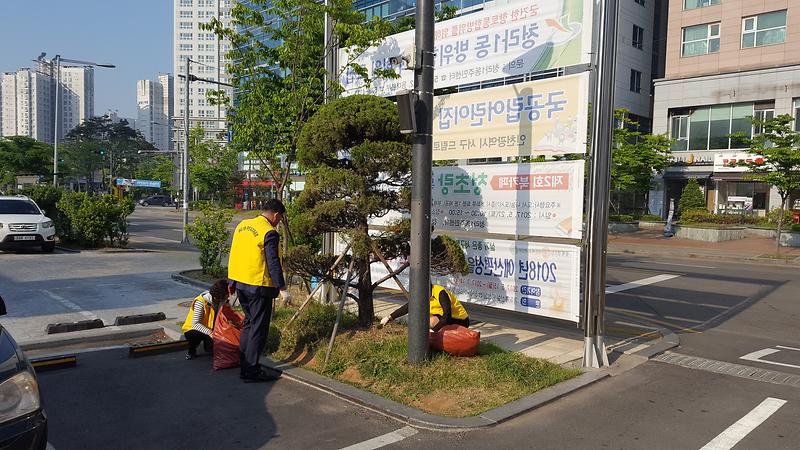 20170517_074637.jpg 이미지