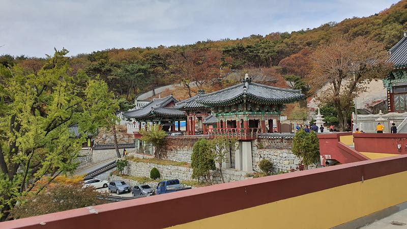 20191106_142456.jpg 이미지