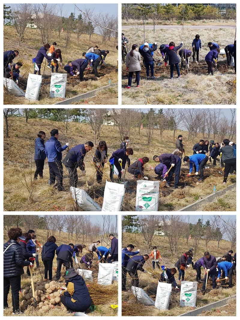 식목행사3.jpg 이미지