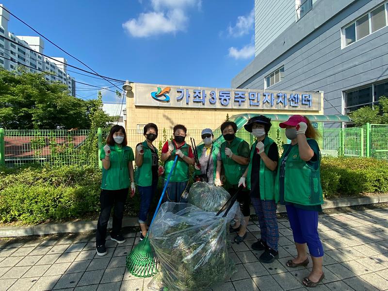 가좌3동 새마을부녀회 가로수지킴이 활동 사진