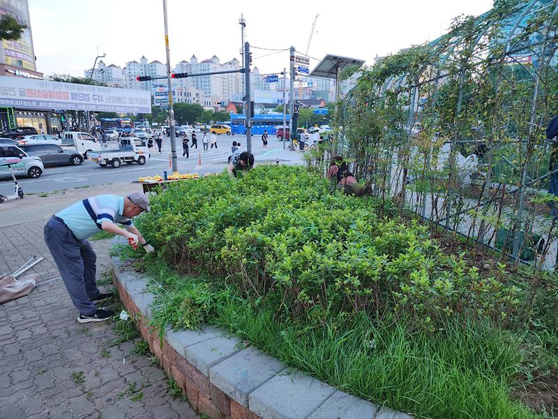 2024년 주민자치회 시범사업 추진(함께돌자동네한바퀴 환경정화활동)_7월  사진