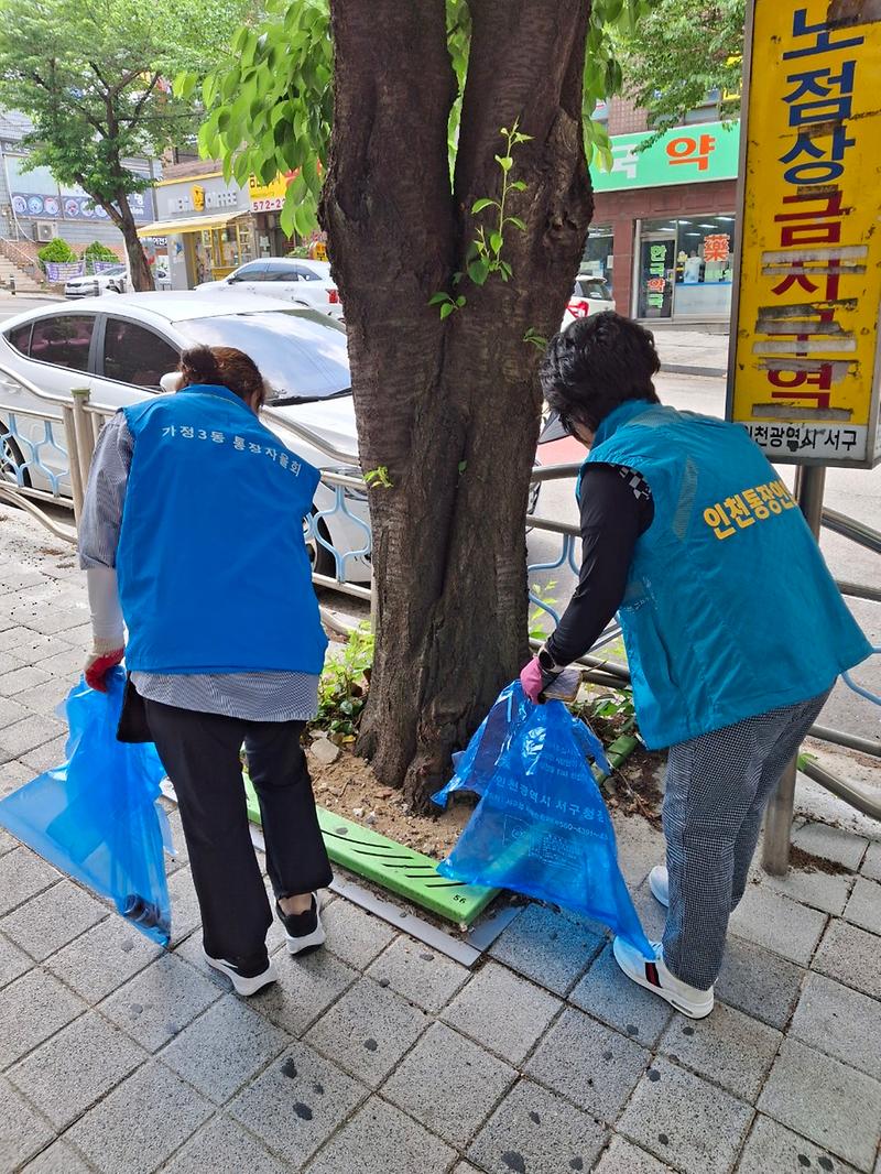 임시2.jpg 이미지