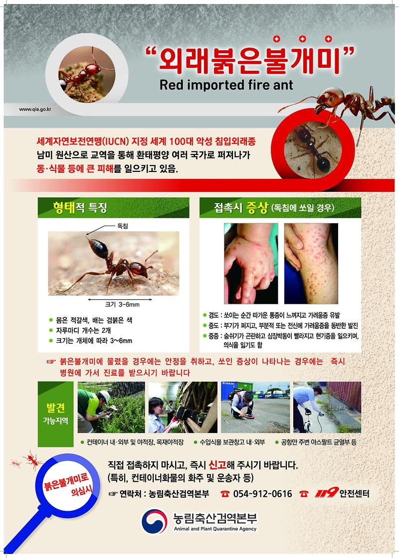 외래_붉은불개미_안내_포스터.jpg 이미지