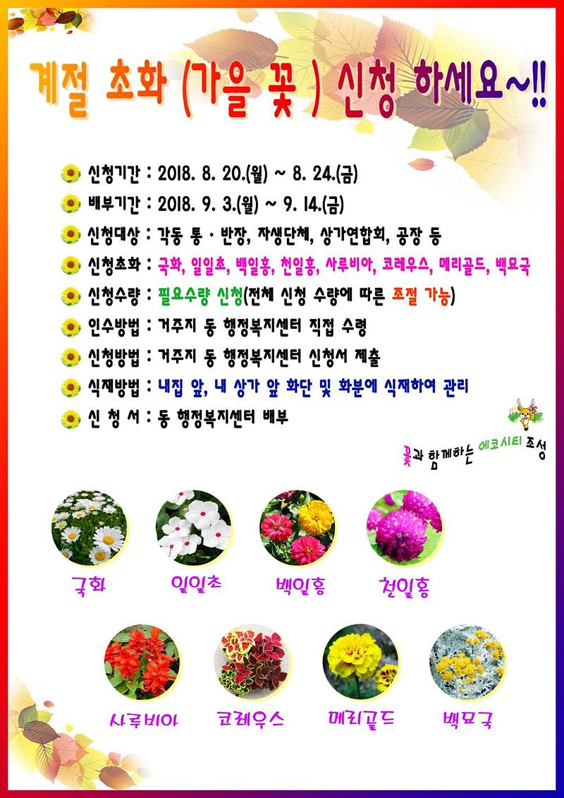 서구청_가을초화_홍보물-s.jpg 이미지