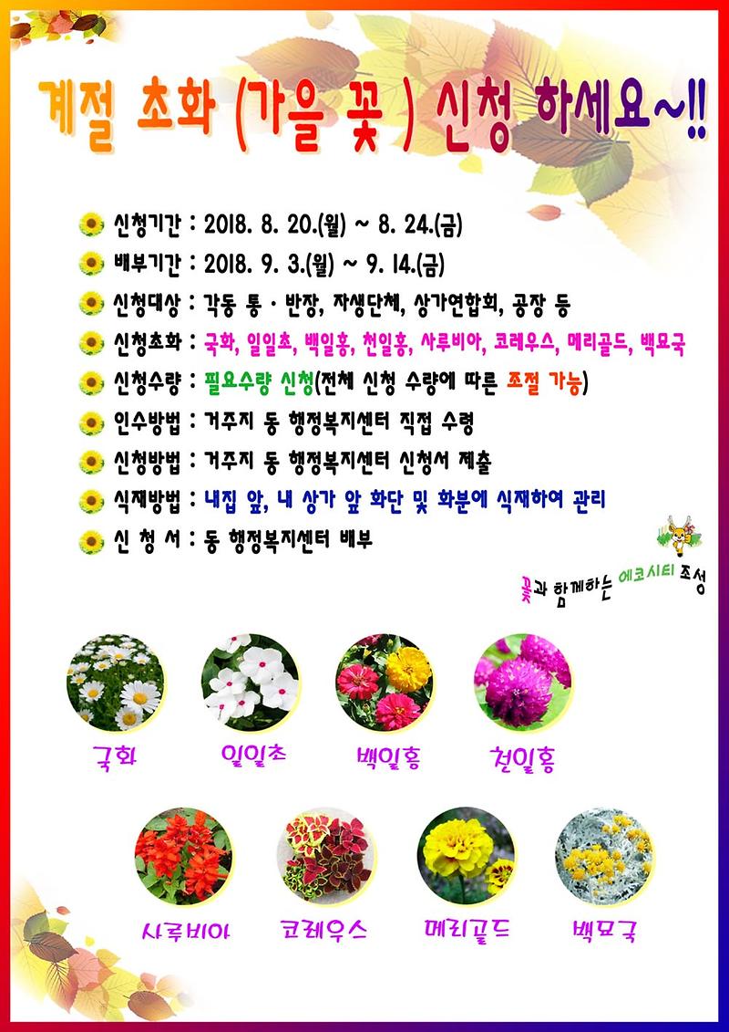 서구청_가을초화_홍보물-s.jpg 이미지