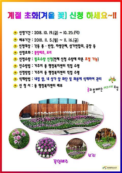 서구청_겨울초화_홍보물-s.jpg 이미지