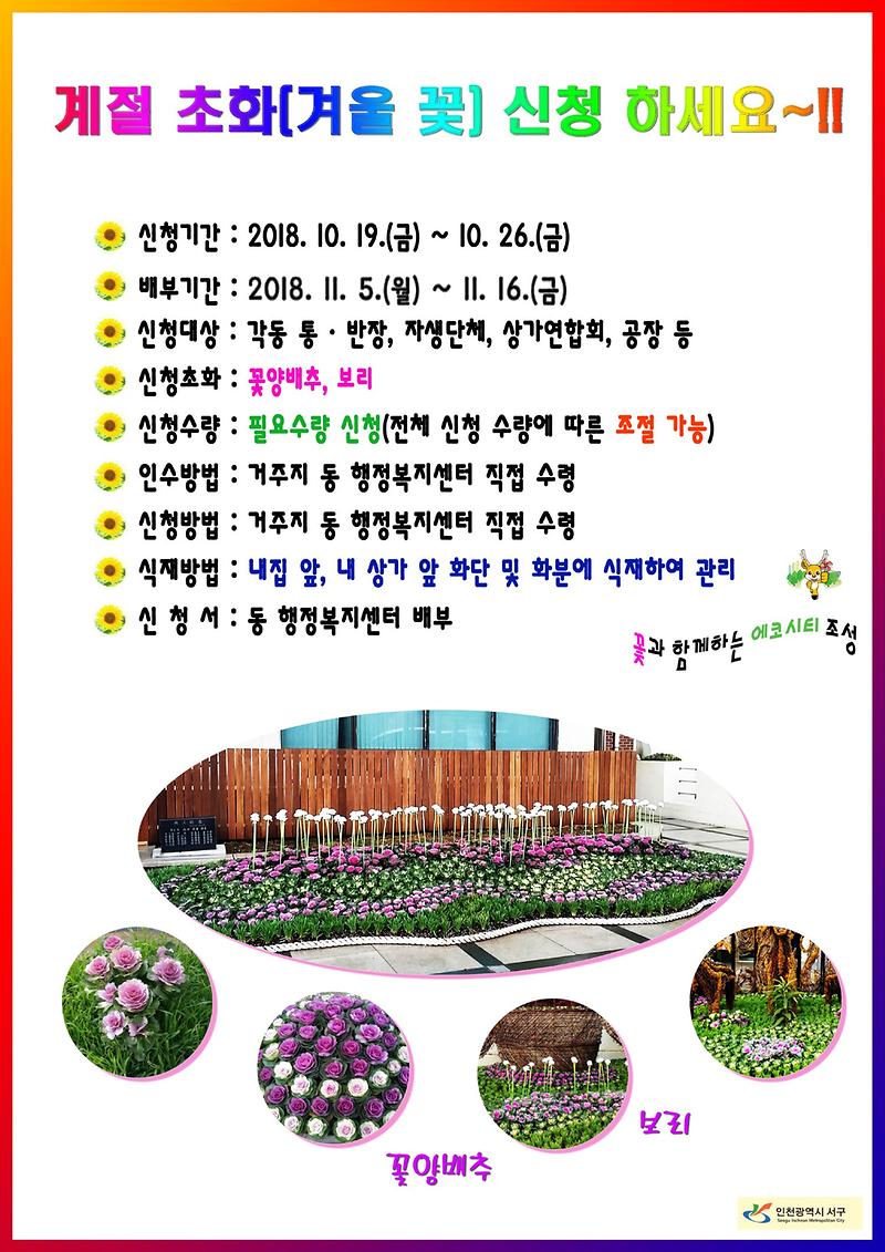 서구청_겨울초화_홍보물-s.jpg 이미지