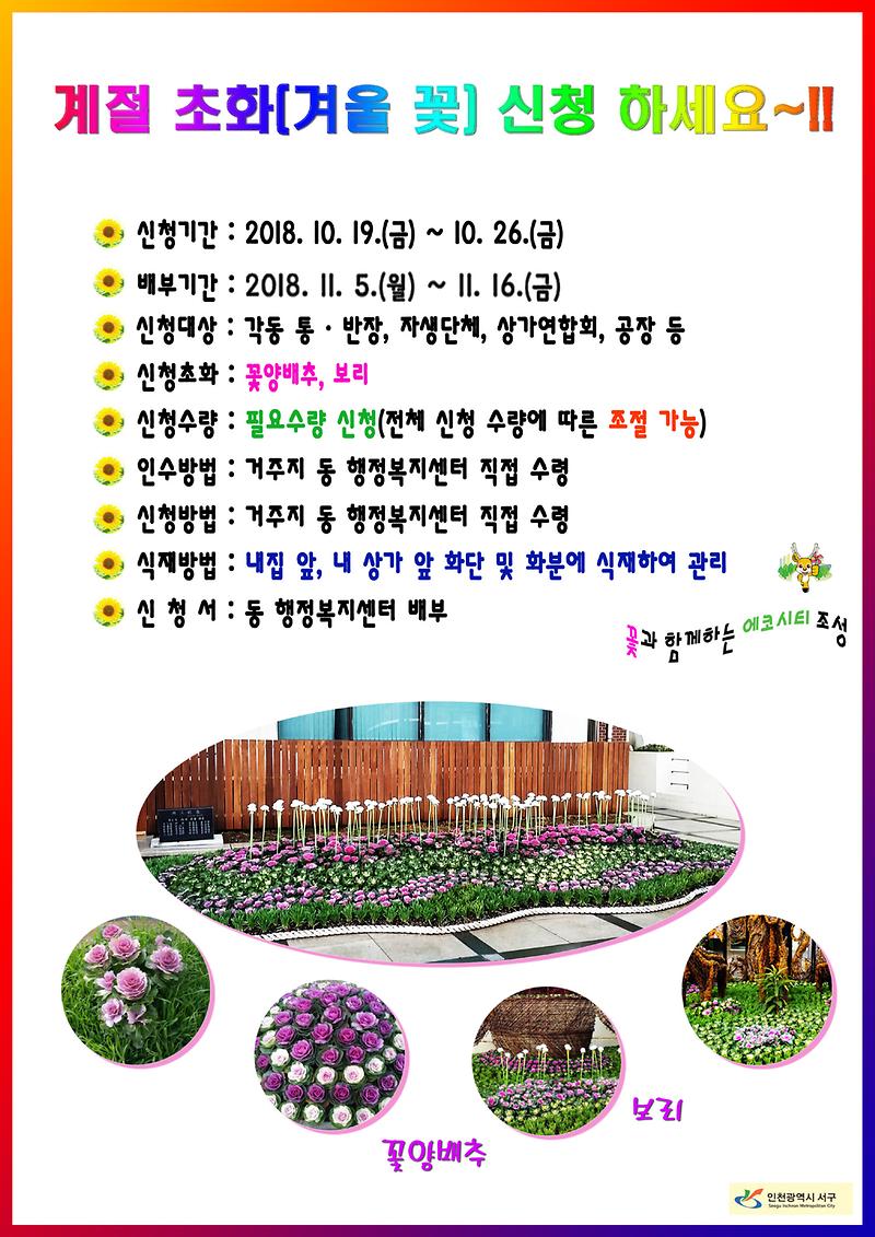 서구청_겨울초화_홍보물-s.jpg 이미지