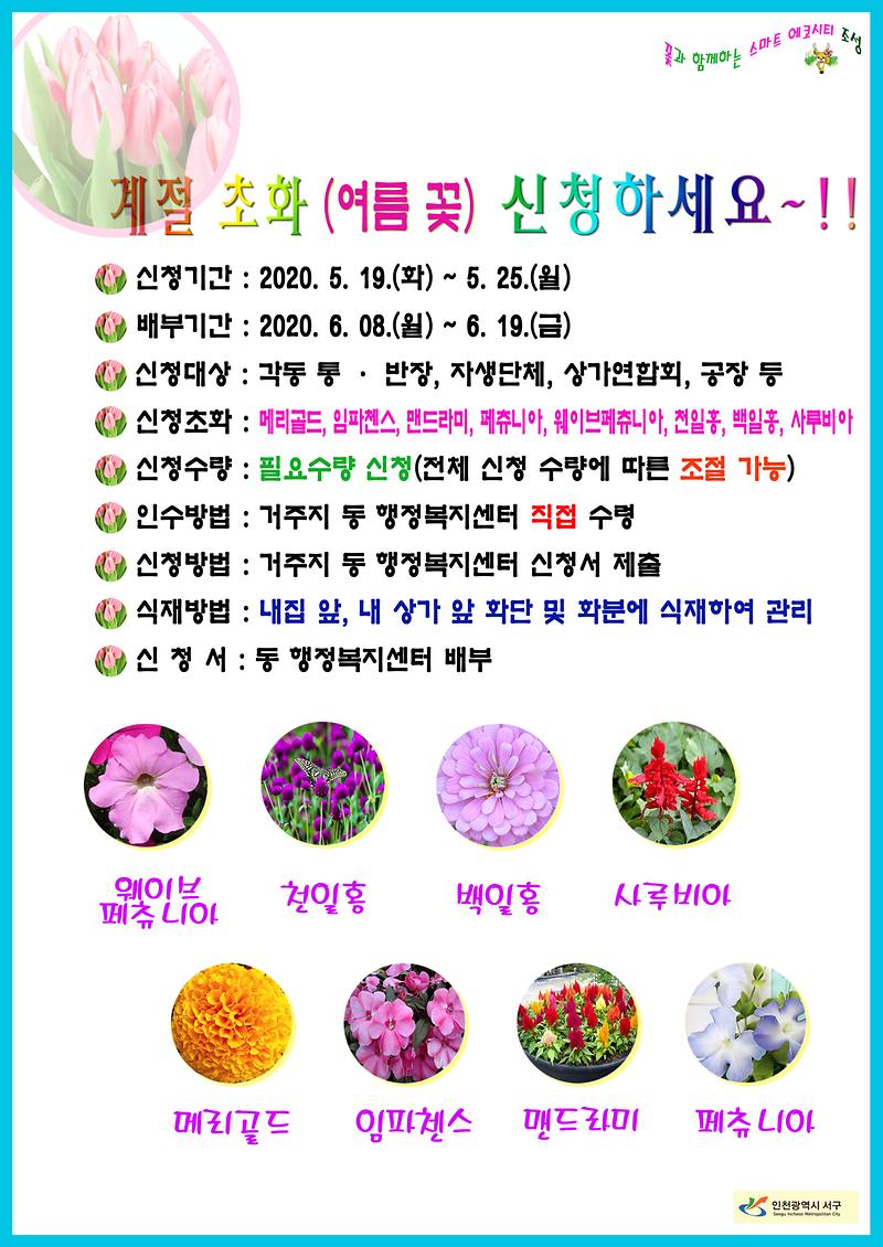 여름_초화-s.jpg 이미지