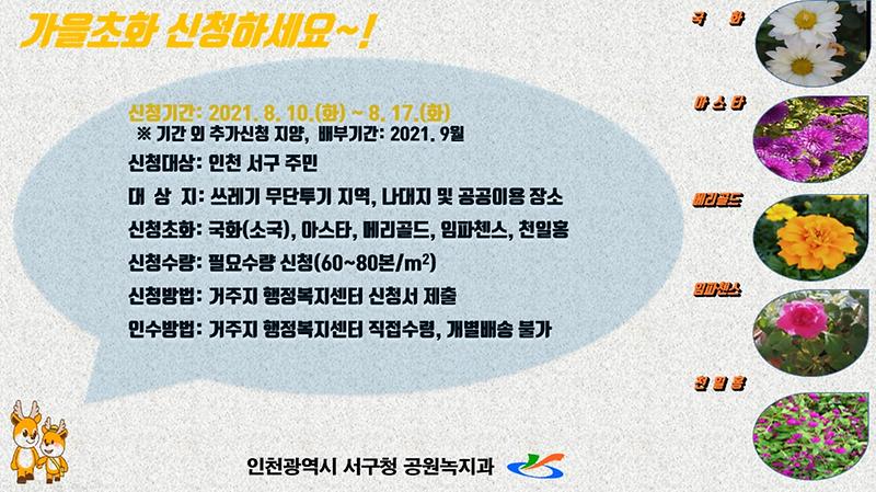 가을초화_안내문.jpg 이미지