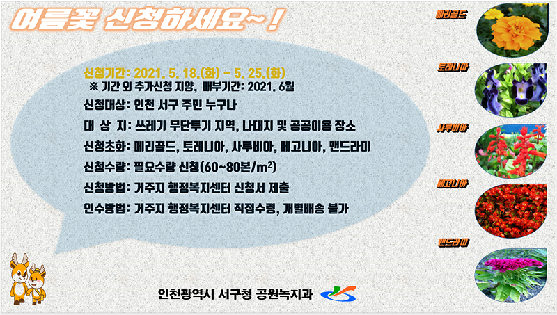 여름초화_홍보물.png 이미지
