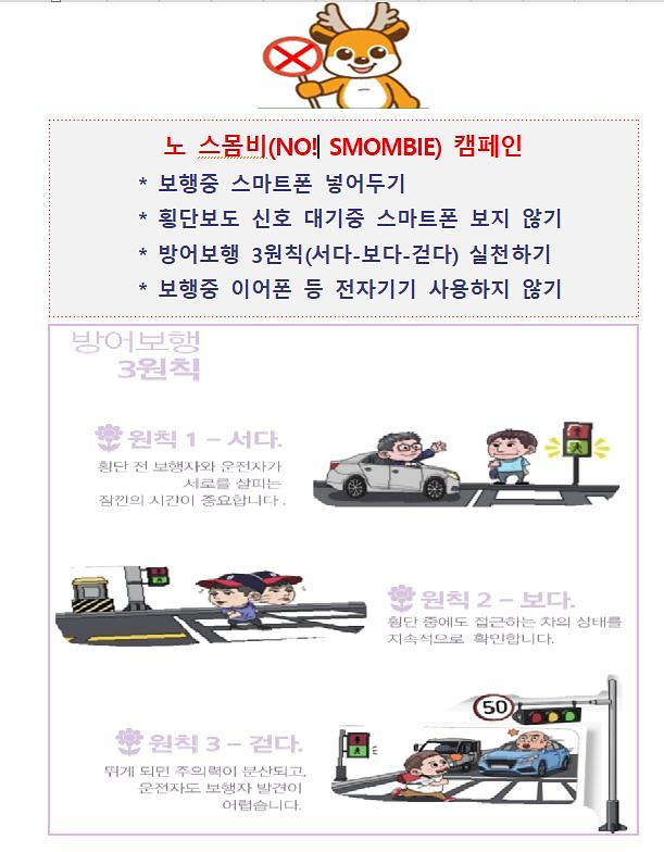 노스몸비2.jpg 이미지