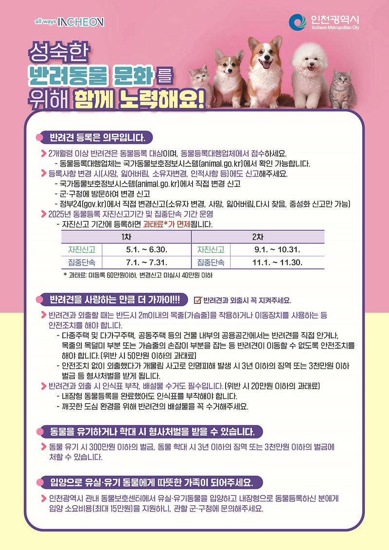 image01.png 이미지