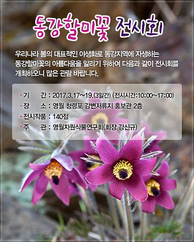 pop-20170303.jpg 이미지