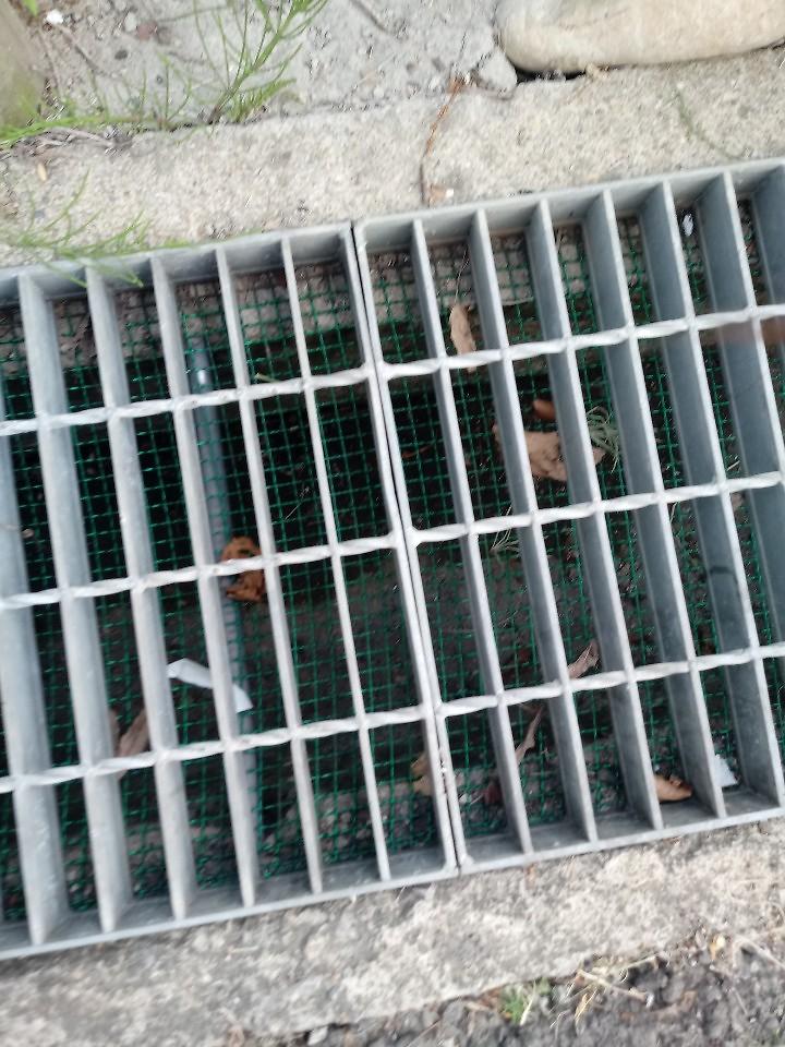 배수구4.jpg 이미지