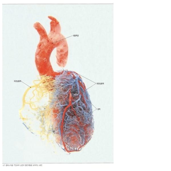 H1MJKZJL.jpg 이미지