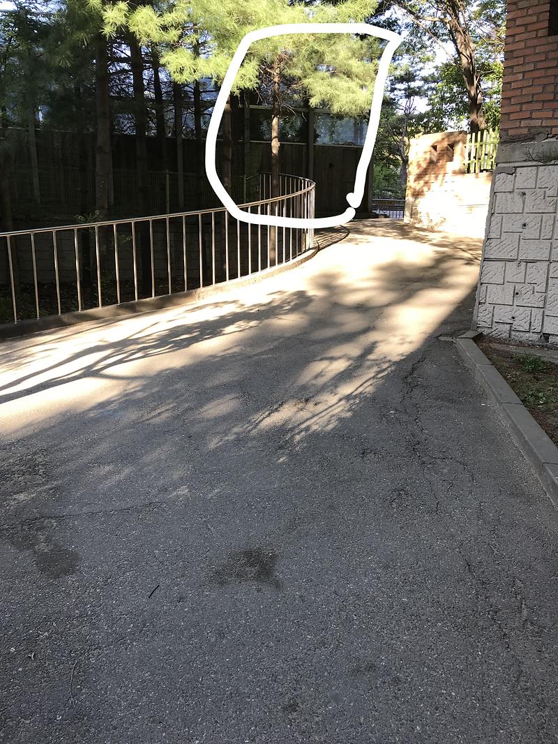 InkedKakaoTalk_20190506_202412508_LI.jpg 이미지