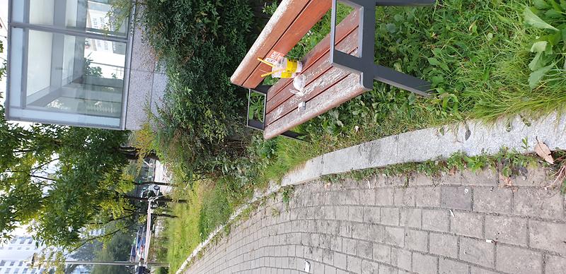 20200930_073801.jpg 이미지