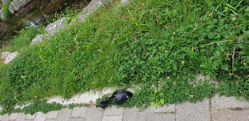 20201001_082031.jpg 이미지