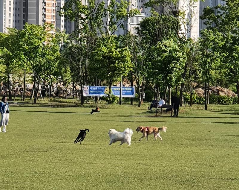 20210505_171757.jpg 이미지