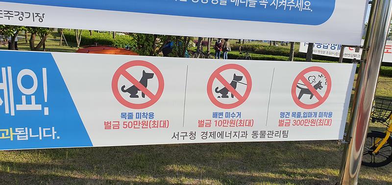 20210505_174315.jpg 이미지