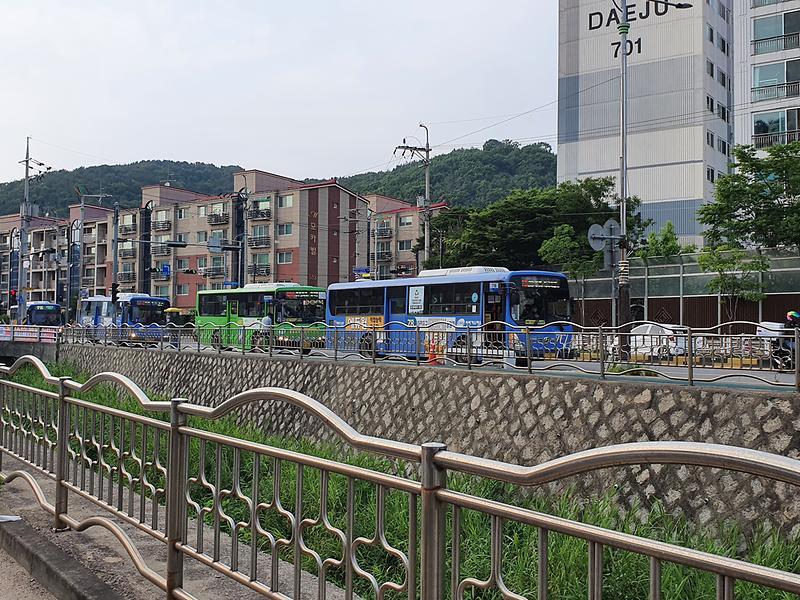 20210626_175022.jpg 이미지