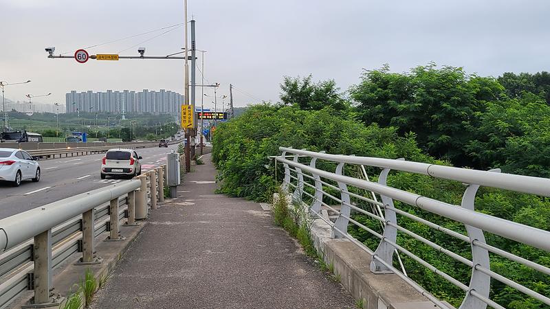 20210709_064530.jpg 이미지