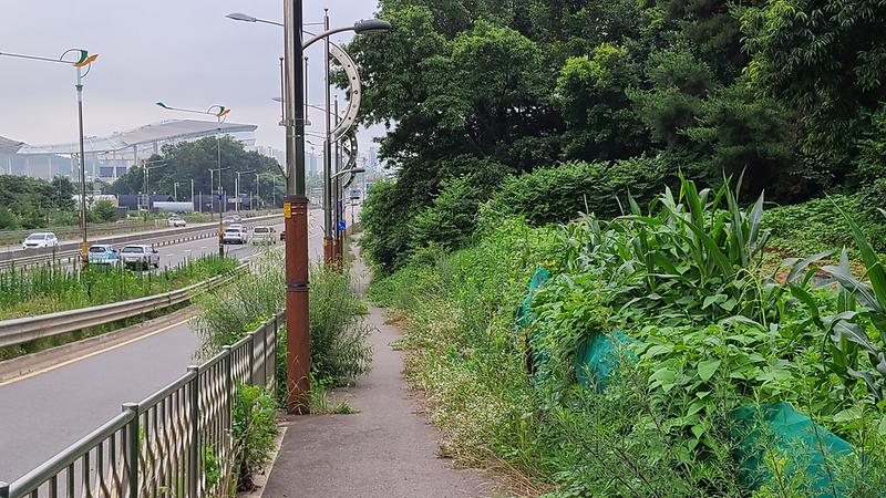 20210709_065046.jpg 이미지